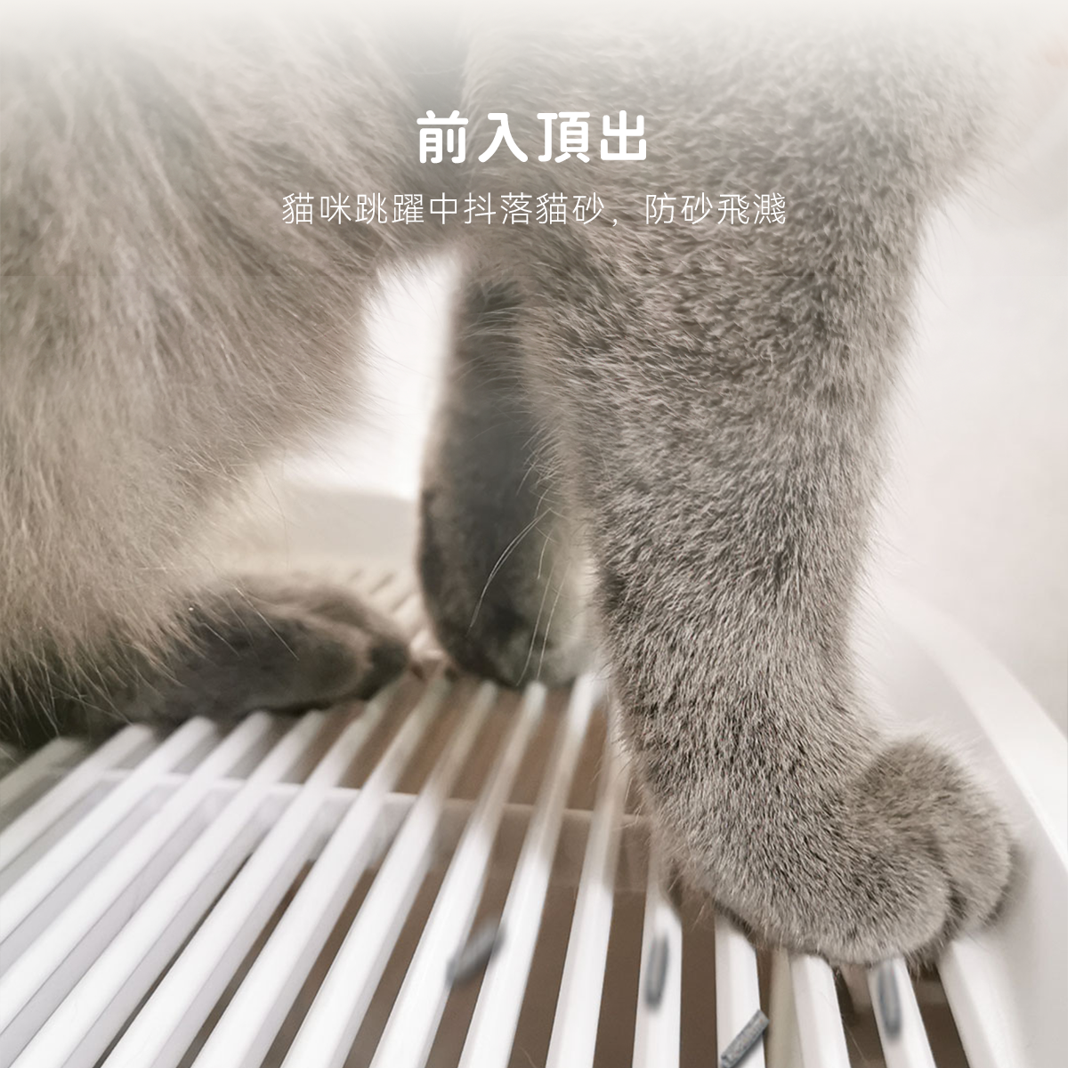 霍曼頭等艙貓砂盆 Homerunpet 霍曼
