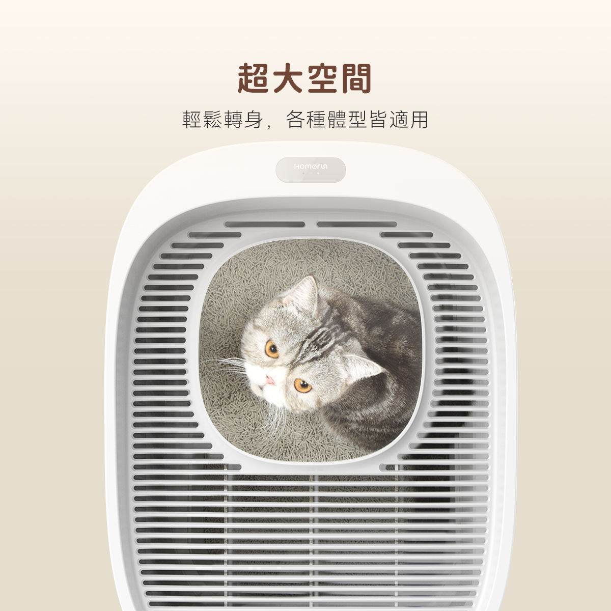 霍曼頭等艙貓砂盆 Homerunpet 霍曼