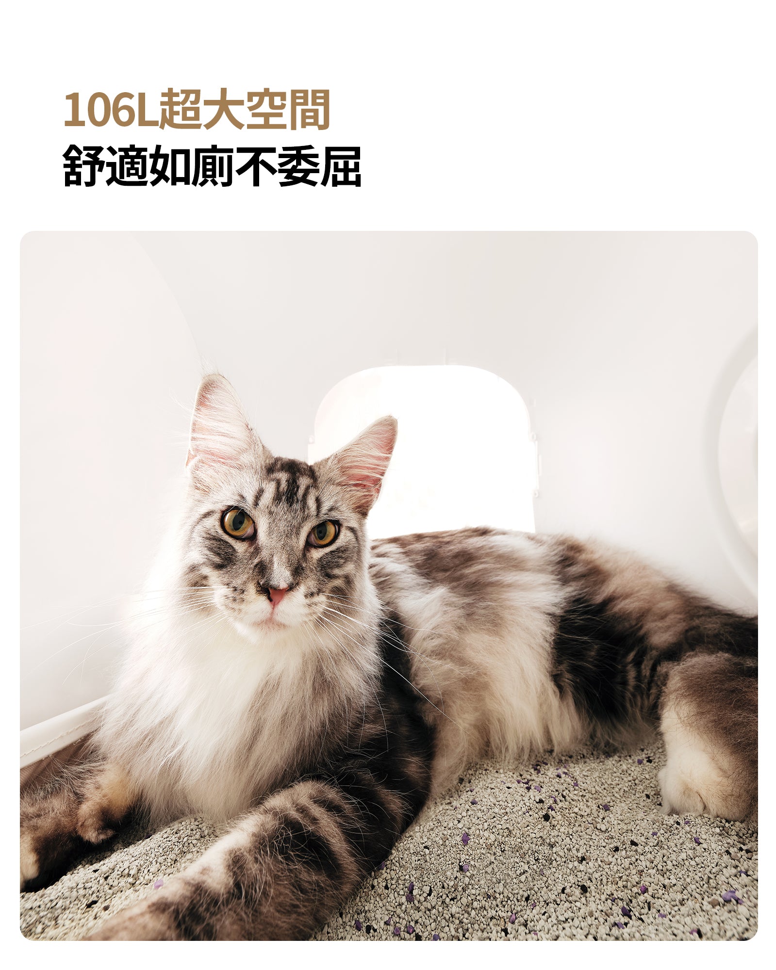 霍曼自動貓砂機CS106