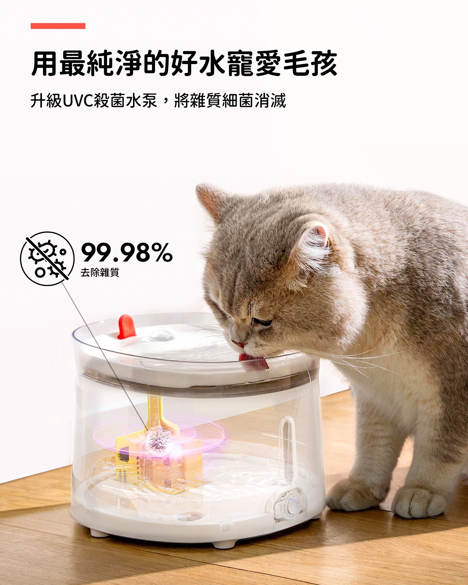 霍曼寵物殺菌飲水機 寵物飲水機 Homerunpet Taiwan   