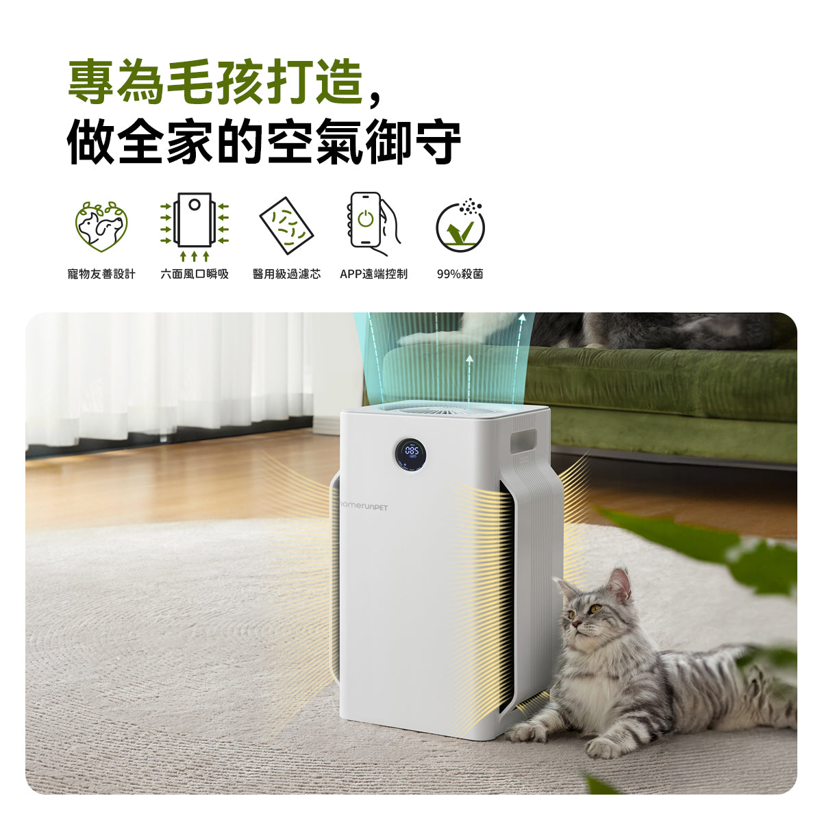 🔥2025新品登場！霍曼空氣清淨機Airbo Plus Homerunpet 霍曼