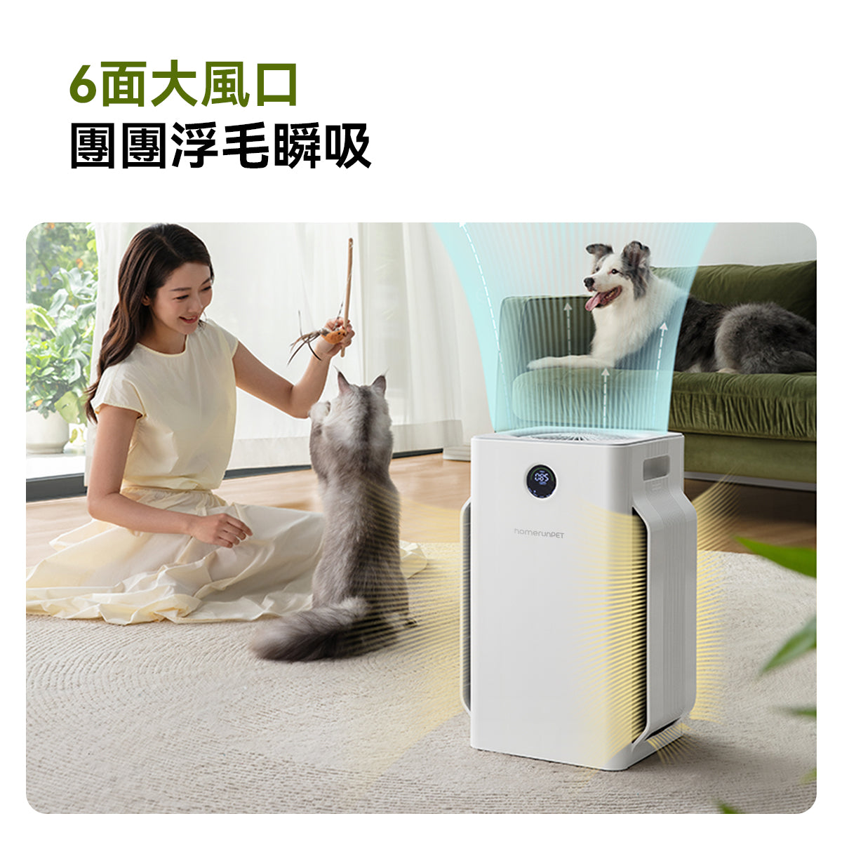 🔥2025新品登場！霍曼空氣清淨機Airbo Plus Homerunpet 霍曼