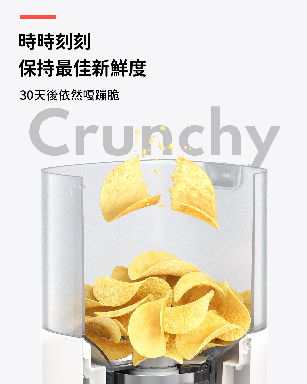 霍曼吃好喝好組Pro（殺菌飲水機+餵食器） Homerunpet Taiwan