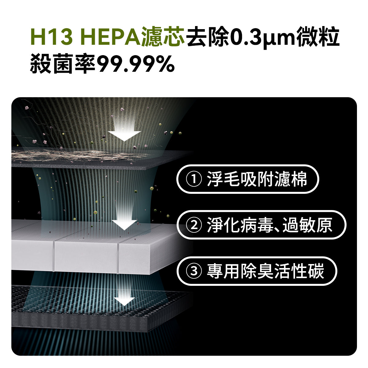 🔥2025新品登場！霍曼空氣清淨機Airbo Plus Homerunpet 霍曼