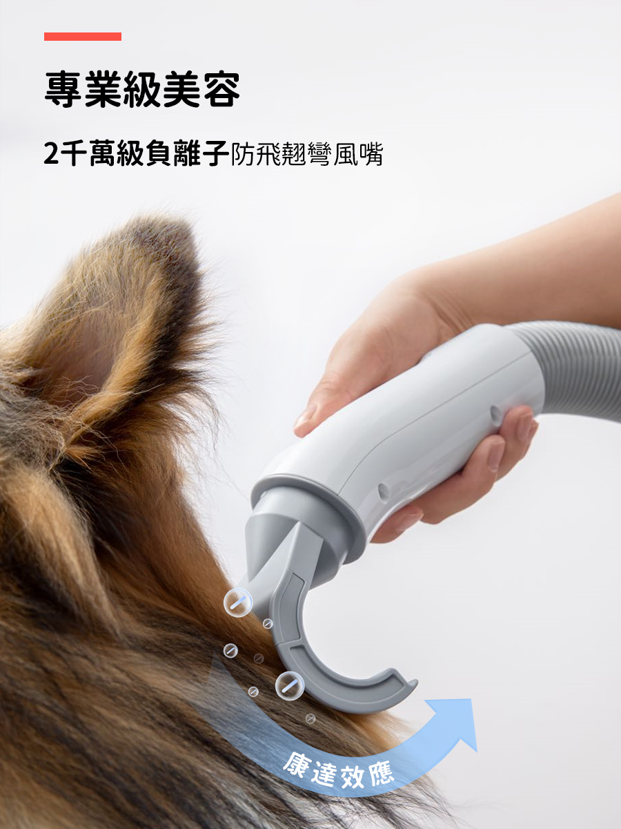 霍曼換毛神器組（理毛器+吹水機） Homerunpet Taiwan