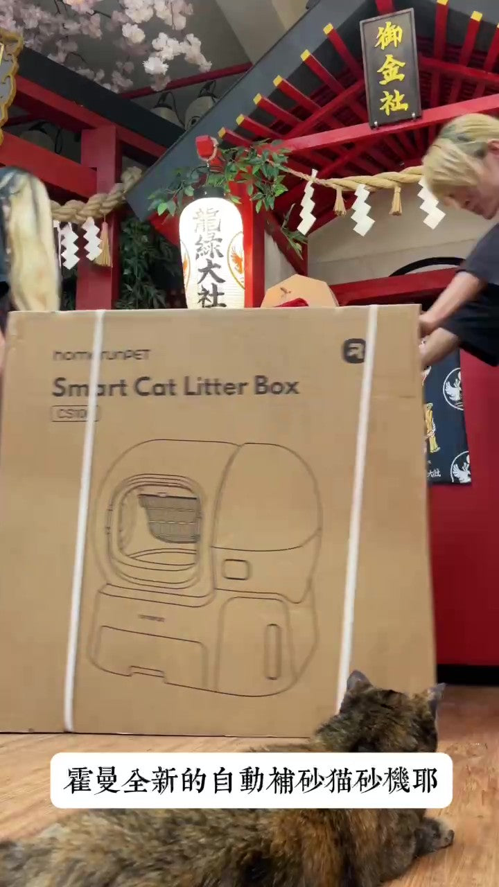 @ryumidoritaisha_otemi